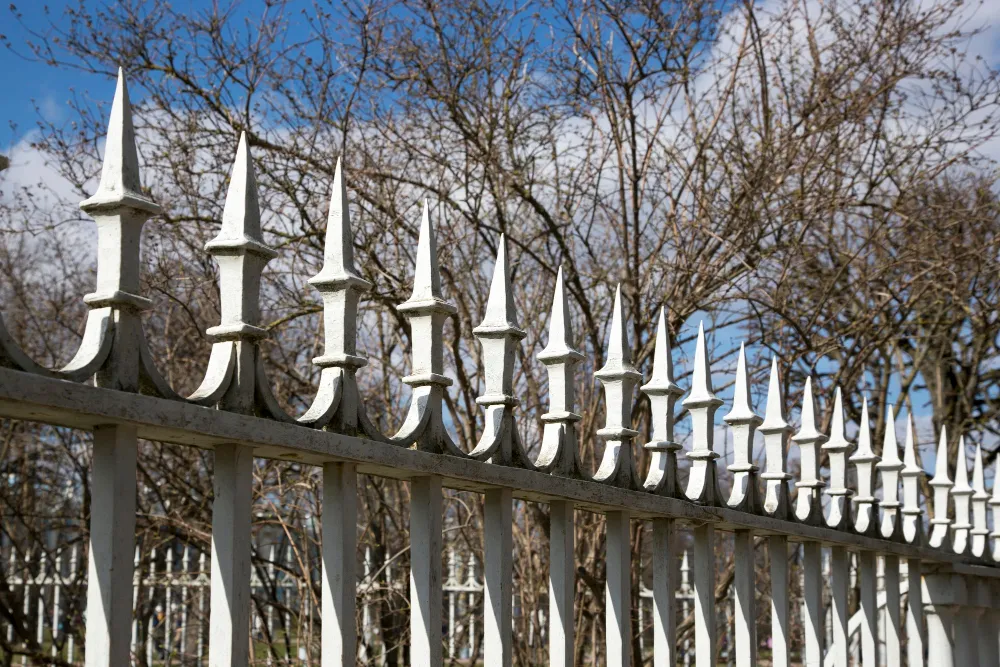 Iron Fencing
