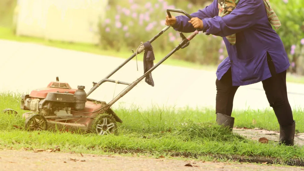 Lawn Mowing Services