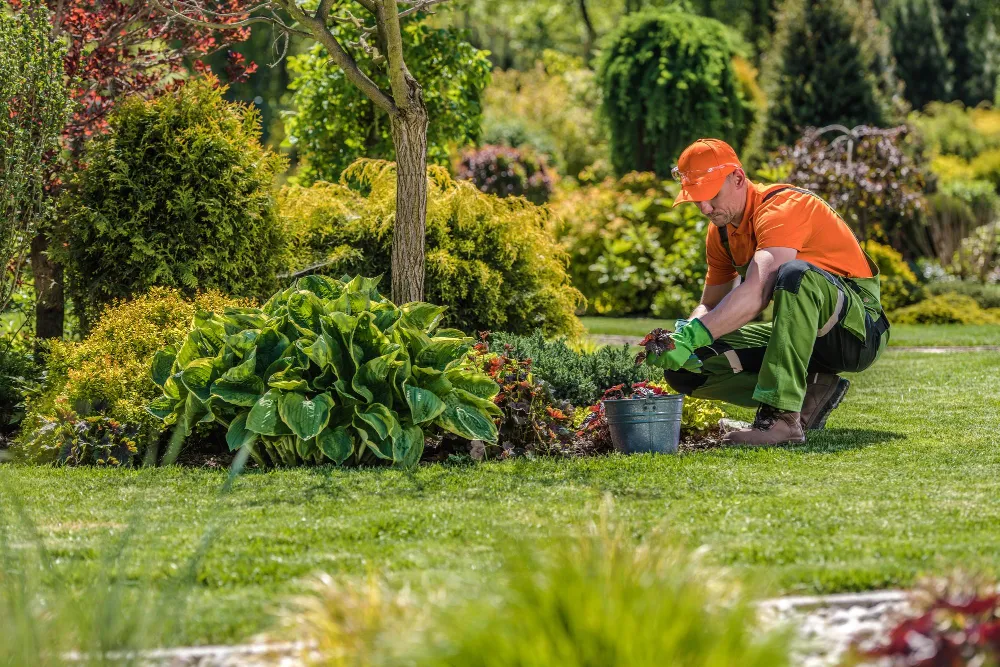 Gardening & Landscaping Services
