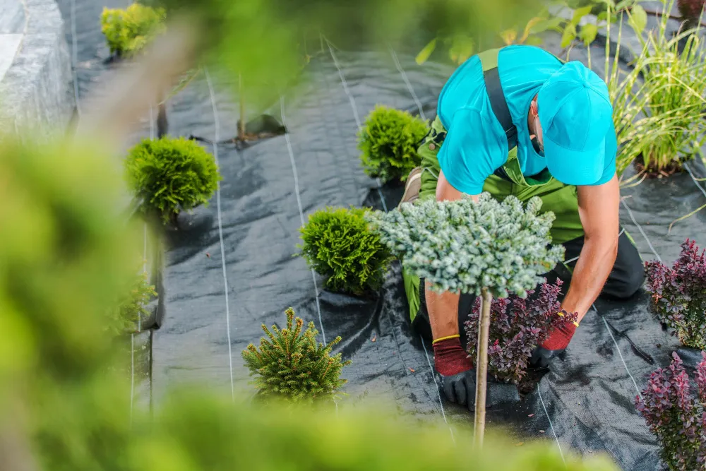 Gardening & Landscaping