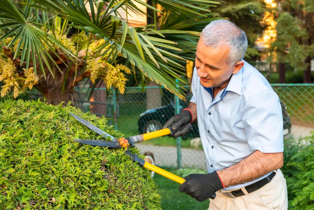 Gardening & Landscaping Services