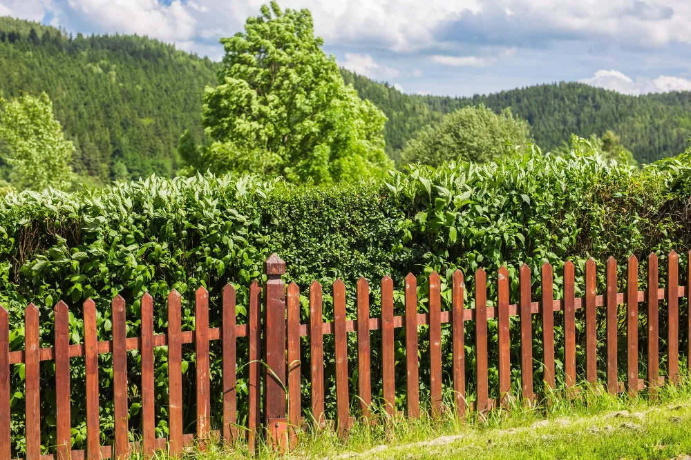 Garden Fencing