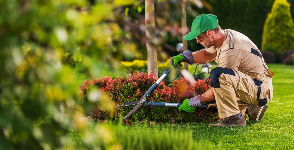 Gardening & Landscaping