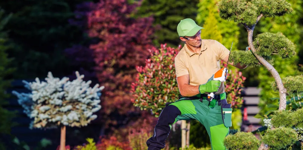 Gardening & Landscaping