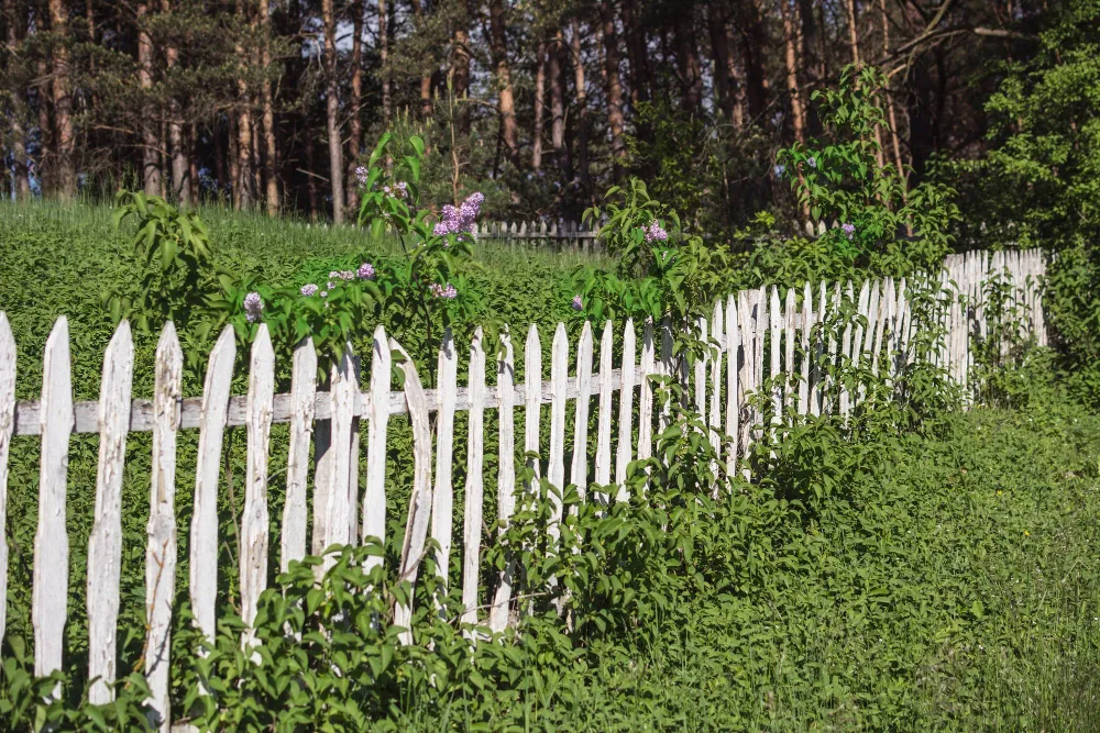Garden Fencing