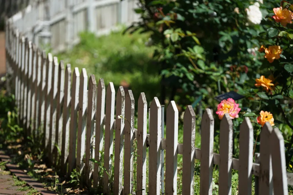 Garden Fencing