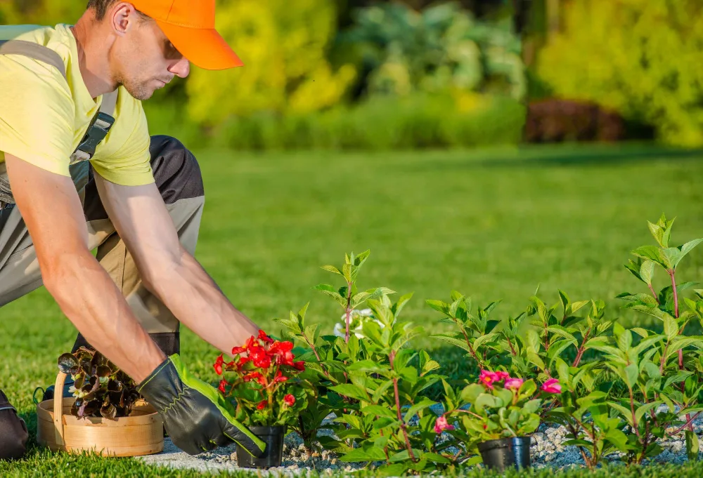 Gardening & Landscaping Services