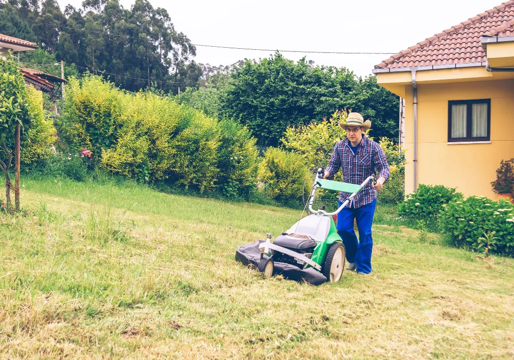 Lawn Mowing Services