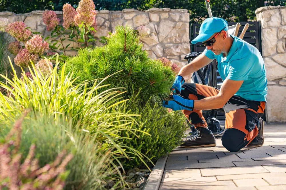 Gardening & Landscaping Services