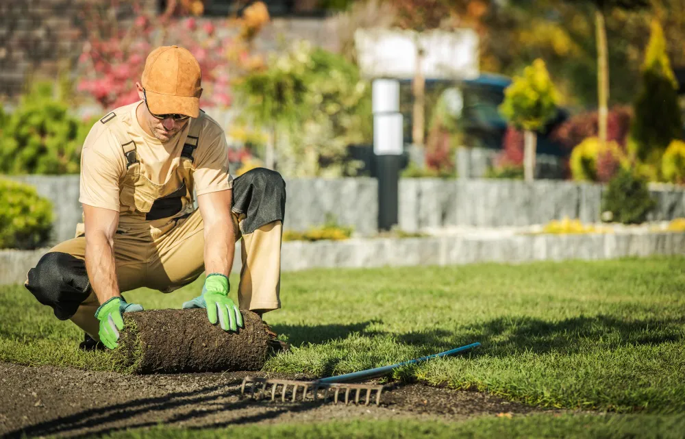 Garden Maintenance services