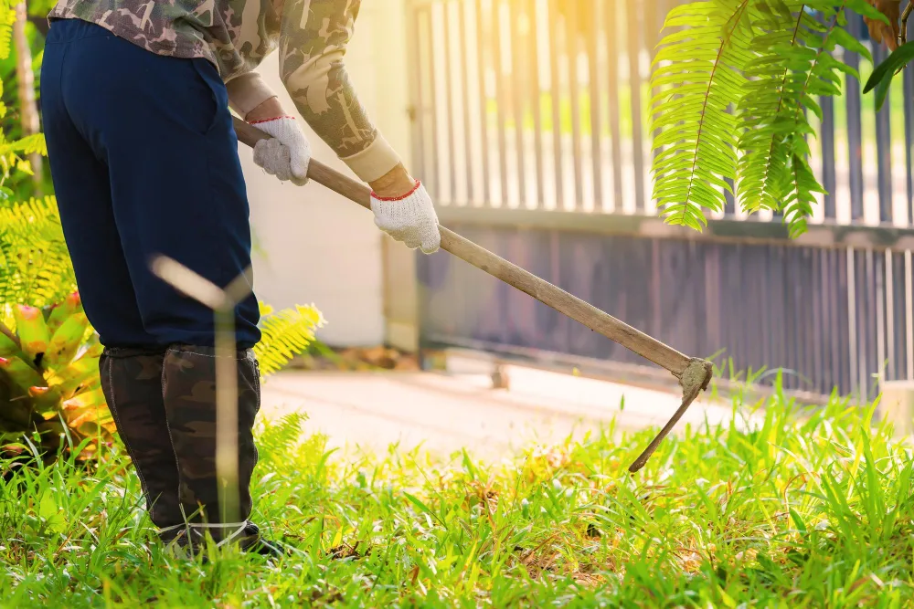  Garden Maintenance 