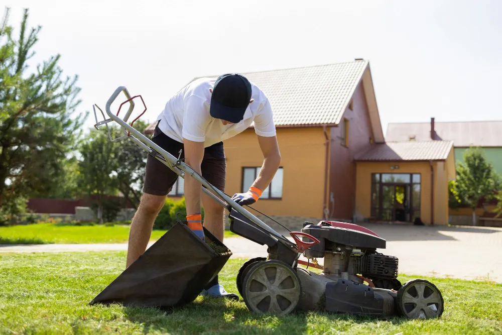Lawn Mowing Services
