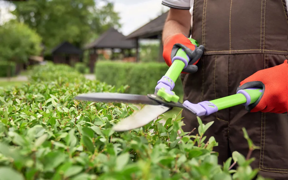  Garden Maintenance 