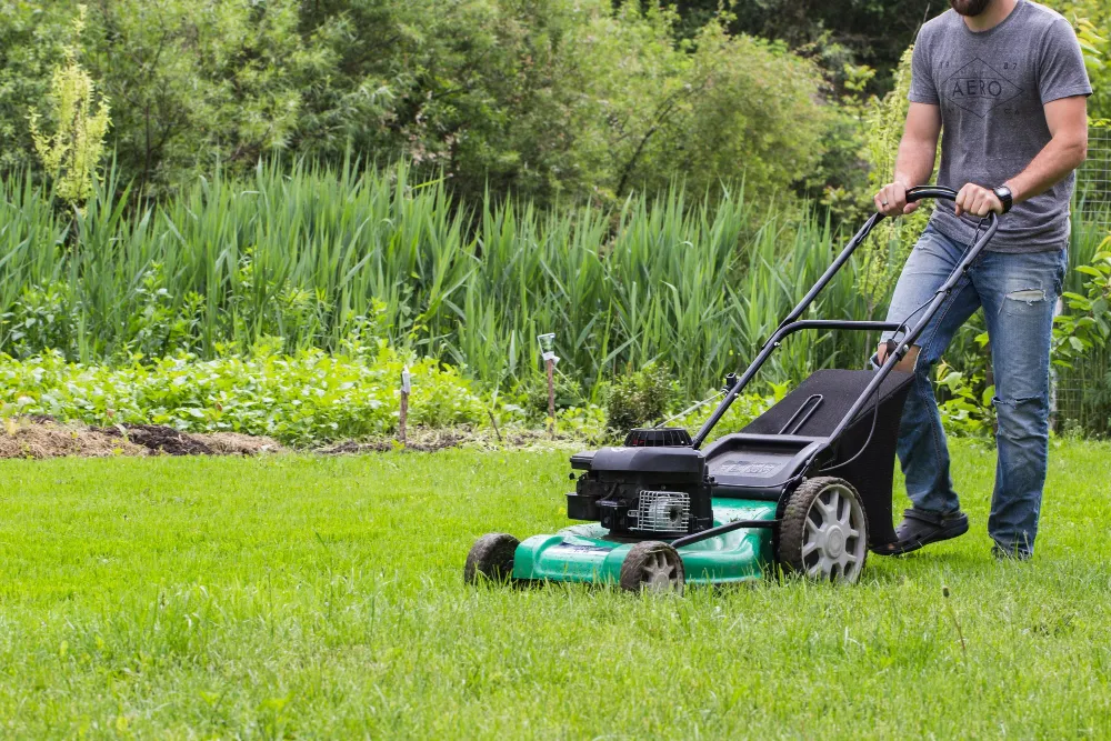 Lawn Mowing Services