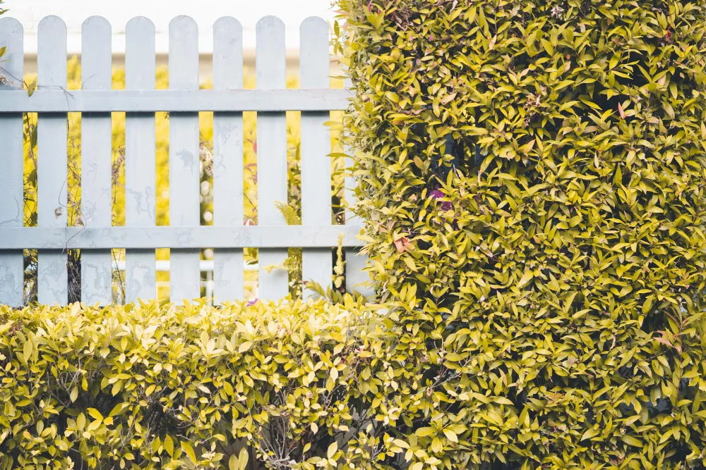 Garden Fencing