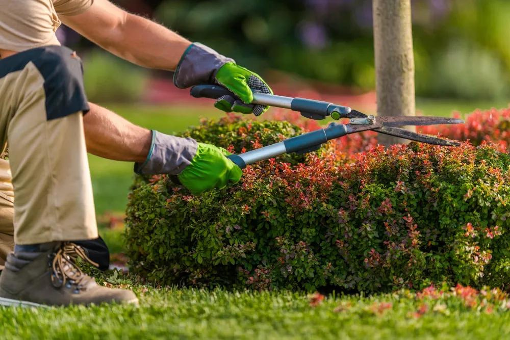 Gardening & Landscaping Services