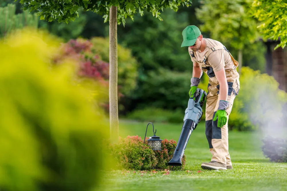  Garden Maintenance 