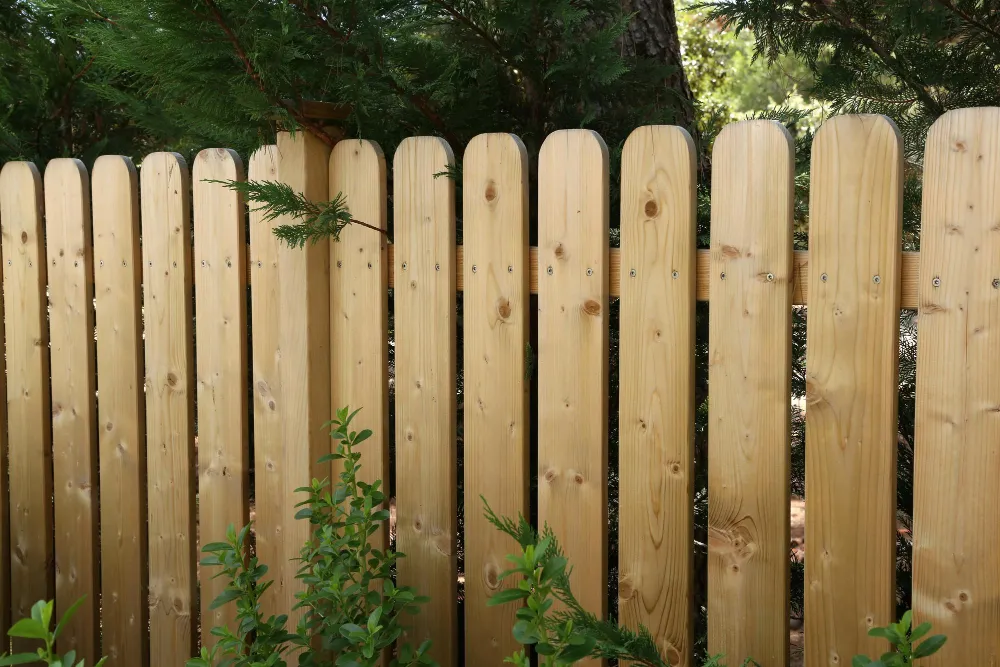 timber fencing