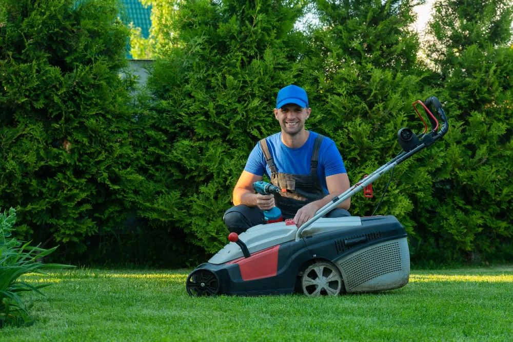 Lawn Mowing Services