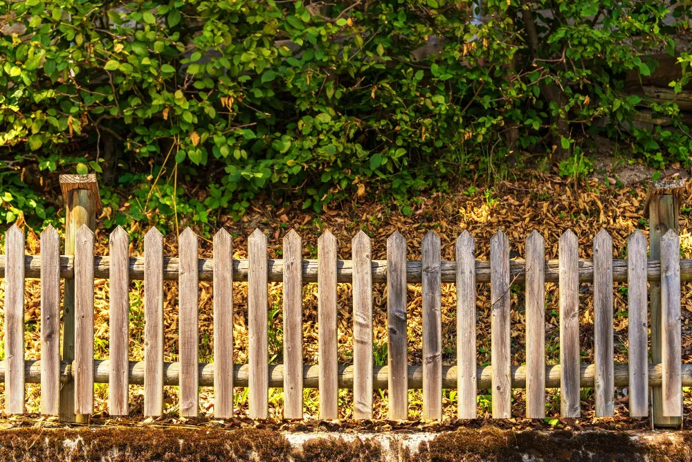 Garden Fencing