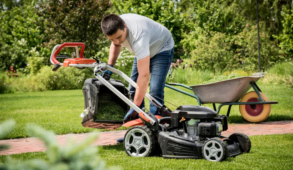Lawn Mowing Services