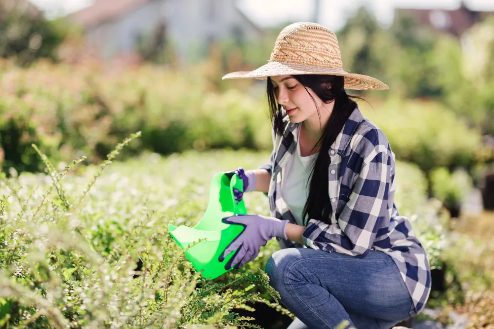 Gardening & Landscaping Services in Eltham