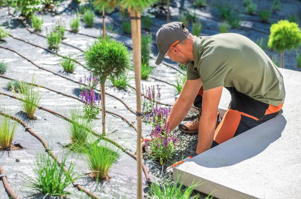 Gardening & Landscaping in South Morang