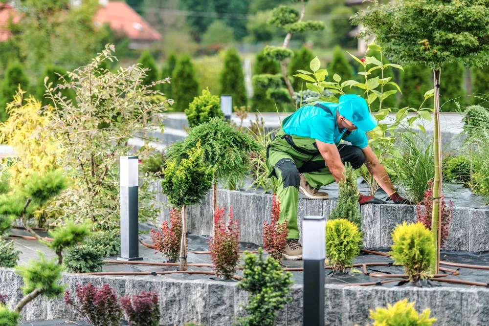 Gardening and Landscaping Services in Mill Park