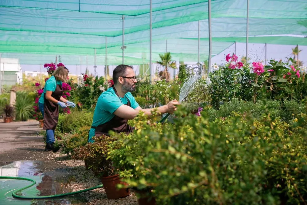 Gardening and Landscaping in Newport