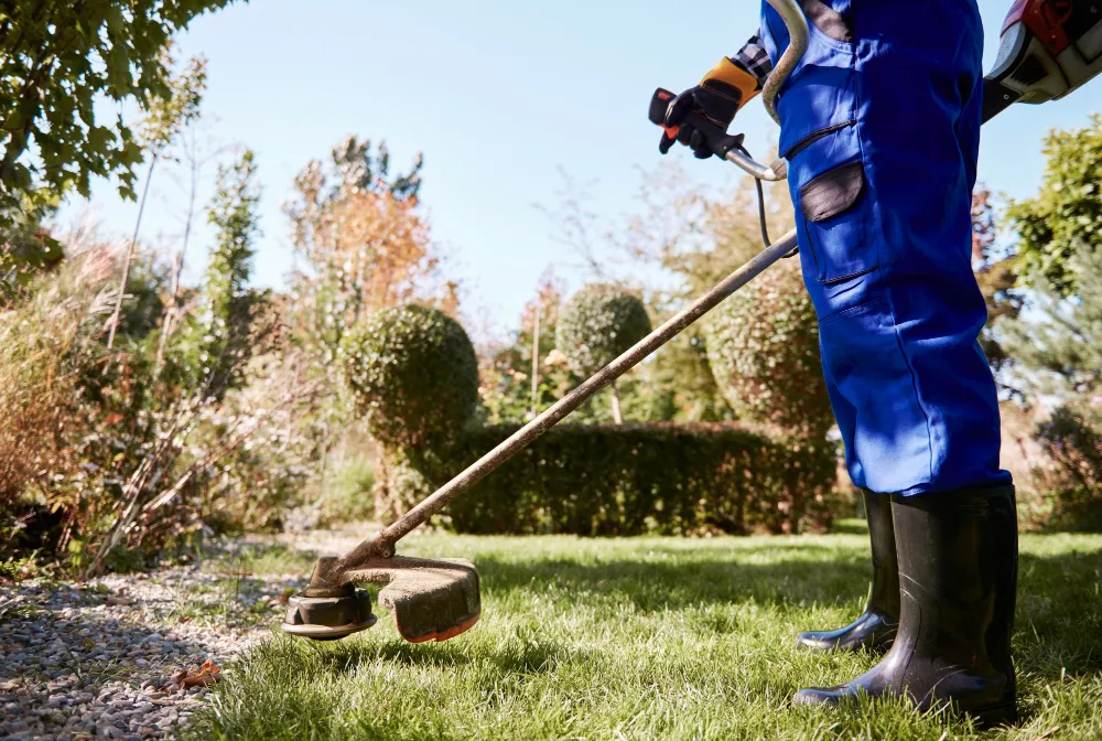 Gardening and Landscaping